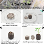 ZeeDix 100 Pcs (40mm) Peat Pellet Fiber Soil Plant Seed Starters - Seed Starter Pellets Pods Compressed Peat Pellets for Grow Herbs, Plant, Flowers and Vegetables