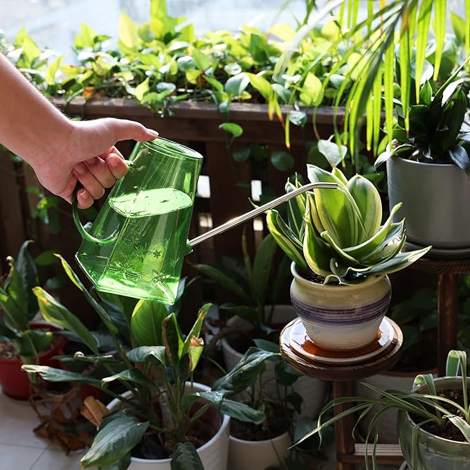 Goowin Indoor Plants Watering Can - Long Spout 47 oz with Bonus 16 oz Spray Bottle & 8.5 oz Squeeze Bottle, Green