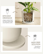 Bamworld Plant Pots Planters for Indoor Plants Flower Pots with Drainage Holes 5/6/7.5 Inch Set of 3 Plastic Planters for Outdoor Plants Garden Pots for Office Room Home Decor White