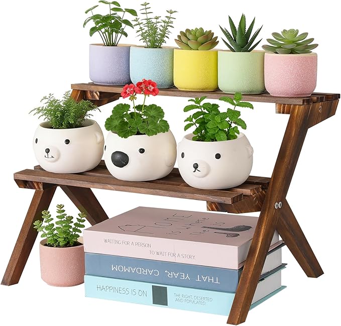 2 Tier Small Wood Plant Stand for Desktop, X-Frame Windowsill Plant Shelf Indoor, Table Top Mini Ladder Flower Pot Holder Display Rack for Succulent, Herbs, Decorations, Kitchen Spices