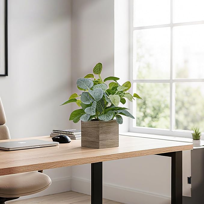 2 Pack 12" Medium Eucalyptus Fake Plants, Artificial Plants Indoor with 4 Inch Wooden Planters, Faux Potted Silk Plants for Home Decor, Desk, Shelves, Desktop, Coffee Table, Bedroom