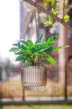 Melphoe 2 Pack Self Watering Hanging Planters Indoor Flower Pots, 6.5 Inch Outdoor Hanging Plant Pot Basket, Plant Hanger with 3Hooks Drainage Holes for Garden Home (Gray + White)
