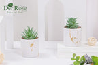 Der Rose Set of 2 Succulents Plants Artificial Mini Fake Succulents Plants for Home Office Desk Accessories for Women