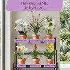 Rosy Soil Orchid Soil Potting Mix - Superior Aeration & Drainage for Orchids - Peat-Free, Microbially Active Biochar Powered Soil for Orchid Plants - Ideal for Indoor Gardening - 4 Quarts