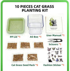 Hydroponic Cat Grass Kit with 5 Pack Non GMO Seeds & Scissors - Cat Grass for Indoor Cats, Helps Cat with Hairballs & Digestion, Easy 3-Step Setup,Gifts for Cat Lovers (Food-Safe PP&AS, 7-Day Growth)