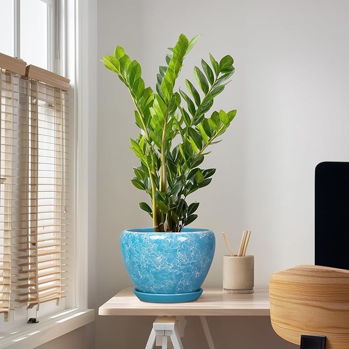 Indoor Plant Pots 10 Inch - Ceramic Planter for Outdoor Plants, Decorative Round Planter with Drainage Hole and Saucer, Flower Pots Outdoor, Apartment Decor, House Warming Gift, Bubble Blue