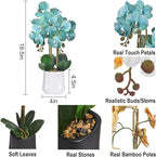 Orchids Artificial Plant in Ceramic Pot 18.5" Faux Orchid Phalaenopsis Flowers Arrangement for Home Office Table Centerpiece Indoor Decor, Teal Blue
