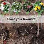 20 Pcs Air Layering Pods,Reusable Air Layering Propagation Kit Grafting Tool Plant Root Growing Box for Fast Propagation Plant Rooting Ball Grafting Kit Plant Propagation Ball Tree Grafting Supplies