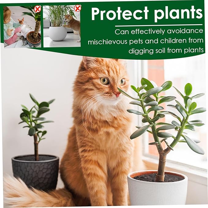Plastic Mesh Soil Protector with Ground Stakes 10Pcs – Plant Pot Covers Indoor Plant Protector from Cats and Outdoor Garden Cover from Animals, 12 Inch