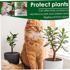 Plastic Mesh Soil Protector with Ground Stakes 10Pcs – Plant Pot Covers Indoor Plant Protector from Cats and Outdoor Garden Cover from Animals, 12 Inch
