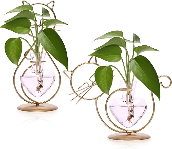 Plant Terrarium Plants Propagation Station Cat Lover Gifts for Women Home Office Decor Cat Desk Accessories