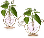 Plant Terrarium Plants Propagation Station Cat Lover Gifts for Women Home Office Decor Cat Desk Accessories