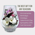 Fiora Flower Elegant Orchid Arrangement in Glass Vase | Preserved Real Orchids Lasting 5 Years | Ideal for Home Decor or Romantic Gift (Opal)