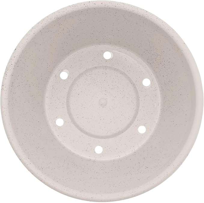 Bloem Terra 4" Diameter Round Vanilla Bean Resin Planter Pot with Pre-Drilled Drainage Holes for Indoor and Outdoor Gardening