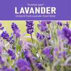 Artificial Succulent Plants with Subtle Lavender Scent, Faux Indoor Plants for Home Decor, Small Fake Plant for Bathroom, Bedroom, Office Decor, Aesthetic Room Accessories, Housewarming Gift