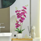 Faux Orchid in Vase Artificial Orchid in Ceramic Vase Tall Silk Orchids with Stems Real Look Potted Phalaenopsis Flowers Arrangement Centerpiece Table Decorations for Home Decor Indoor, Fuchsia