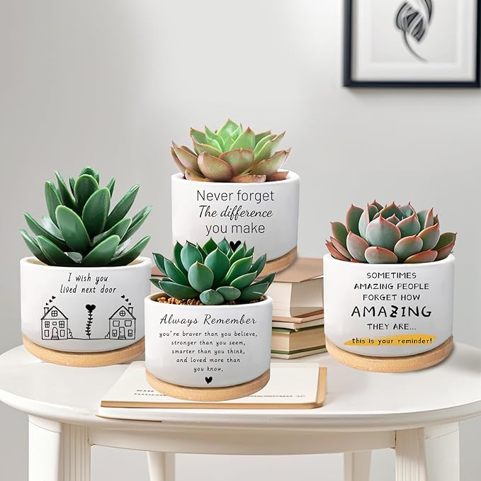 Inspirational Gifts for Women, Cute Succulent Plant Pot, Cactus Flower Planter for Plant Lover, Gardening Motivational Encouragement Cheer Up Gift for Women Men Friend (Plants Not Included)