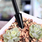 Succulent Tools Set,Plant repotting kit,repotting kit,Succulent Tools,Indoor Plant Tools,Succulent Tool kit,houseplant Tools,Plant Care kit,Indoor Plant Care kit, (Set of 5)
