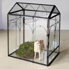 HighFree Geometric Plant Terrarium with Lid, House Succulent Terrarium Kit for Succulents Cacti Snail, Home Tabletop Miniature Terrarium (Black with Side Door)
