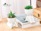 Der Rose Set of 2 Fake Plants Artificial Succulent Plants for Office Desk Accessories Bathroom Home Room Aesthetic Decor Indoor