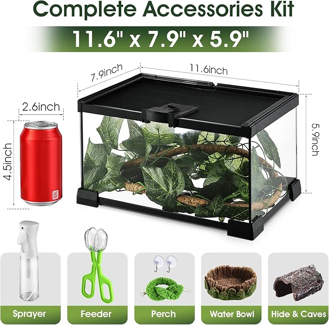 Reptile Terrarium Glass Kit 12" x 8" x 6" Starter Habitat for Tarantula, Succulents, Frogs, or Hermit Crabs, Tank with Escape-Proof Locking Lid