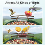 birdsnap® PAV-Bird Feeder with Camera,2K HD with 32GB Card, AI Identify Smart Bird House Cam Solar Panel,Live Stream,Motion Detection,Auto Record Video for Backyard Outdoors,Ideal Gift for Bird Lover