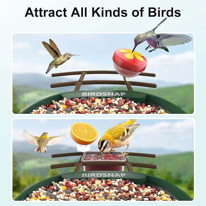 birdsnap® PAV-Bird Feeder with Camera,2K HD with 32GB Card, AI Identify Smart Bird House Cam Solar Panel,Live Stream,Motion Detection,Auto Record Video for Backyard Outdoors,Ideal Gift for Bird Lover