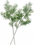 Artificial Plants Fake Plant Simulation Bamboo Leaf Tall 31 Inch, Faux Reed Plastic Leaves Faux Greenery Bushes Flexible Branches Stems for Indoor Outdoor Decor Wedding Party DIY Decoration - 2 Pack