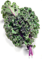 Gaea's Blessing Seeds - Kale Seeds - Red Russian - Non-GMO Seeds with Easy to Follow Planting Instructions - Open Pollinated - Untreated - 94% Germination Rate