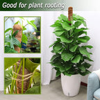 Soupiar 2-Pack 28" Bendable Moss Pole for Monstera, Rust-Free Aluminum Core Plant Support Stakes, Sturdy Stakes to Train & Grow Indoor Climbing Plants Upright (13.2ft Jute Rope Included)