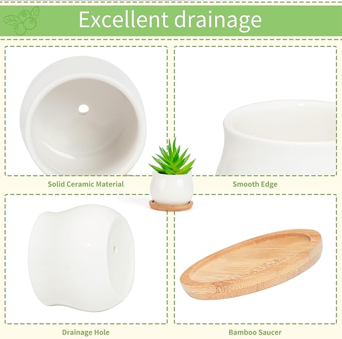 SHECIPIN Succulent Pots, White Mini 2.5 inch Ceramic Flower Planter Pot with Bamboo Tray, Pack of 12 - Plants Not Included