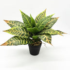 PASYOU Artificial Aglaonema Plant, Fake Codiaeum Variegatum Plants 2 Pack, Faux Magnolia Plastic Evergreen Shrubs, UV Resistant Greenery, Indoor Outdoor Decor Home Garden Decorations - Striped Leaves