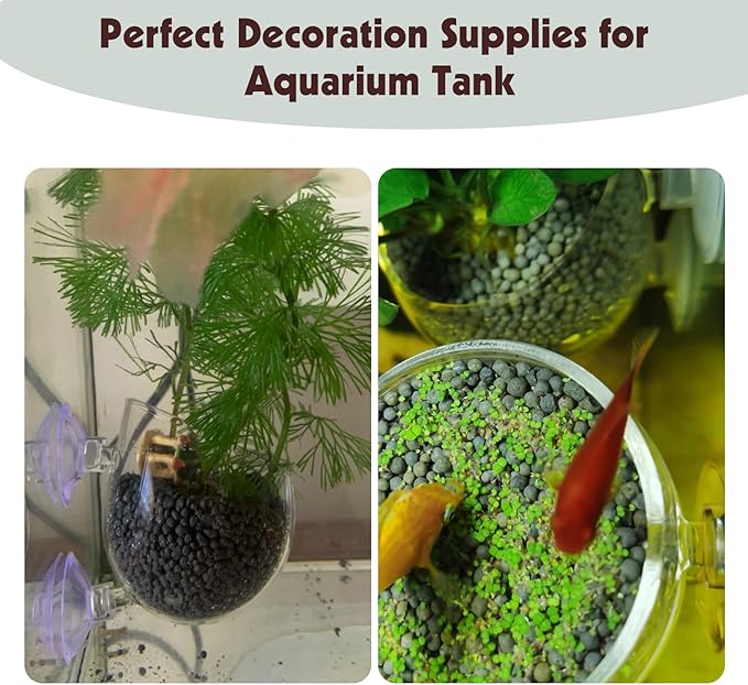 Tfwadmx 6 Pieces Aquarium Plant Holder Pot Aquarium Decor Crystal Glass Aquatic Plant Cup with Suction Cups Aquarium Fish Tank Decorations