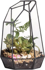 NCYP Small No Door Glass Geometric Terrarium - 4.9 x 3.9 x 7.4 Inches Irregular Clear Terrarium Pot for Mini Succulents, Small Cactus, Indoor Garden Tabletop Decoration (No Plants)