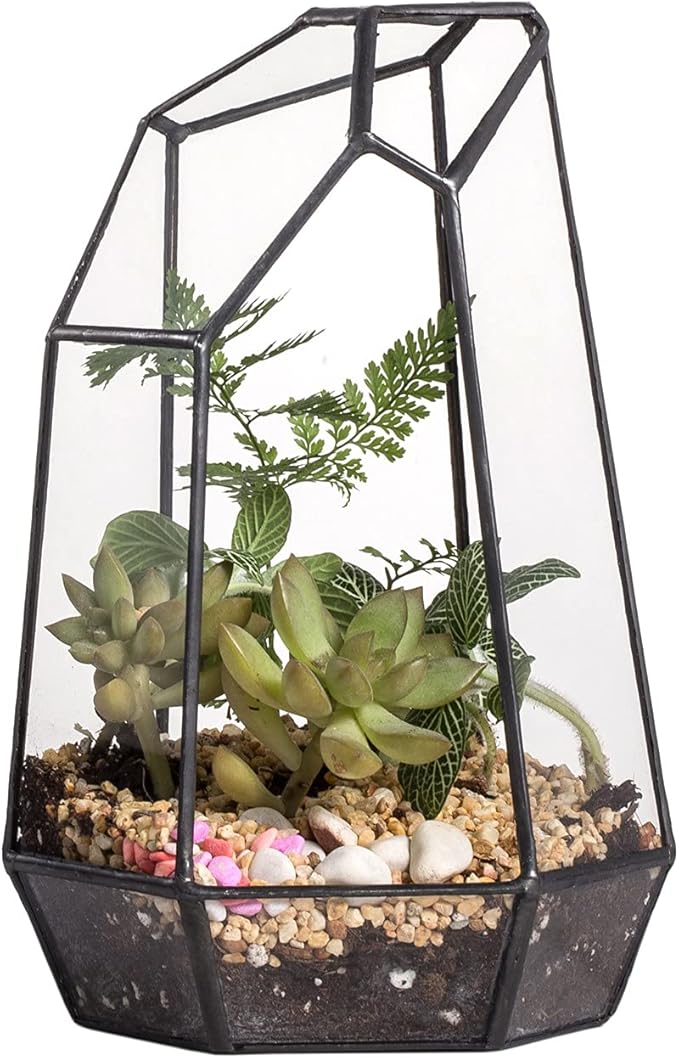 NCYP Small No Door Glass Geometric Terrarium - 4.9 x 3.9 x 7.4 Inches Irregular Clear Terrarium Pot for Mini Succulents, Small Cactus, Indoor Garden Tabletop Decoration (No Plants)
