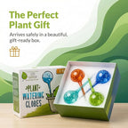 Automatic Plant Watering Globes Self Watering Planter Inserts (Set of 4) | Hands Free Multicolor Glass Bulbs | Planter Spikes to Support Indoor & Outdoor Plant Health (100ml)