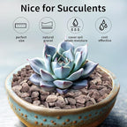 FANTIAN 5 lbs Succulent and Cactus Pebbles for Indoor Plants, 3/8 Inch Pea Gravel Decorative Red River Rocks for Plants, Vases, Terrarium, Aquarium, Potted Top Dressing and Outdoor Landscaping Stones
