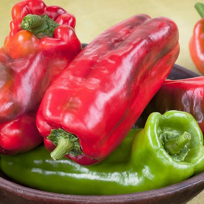 Bonnie Plants Giant Marconi Pepper, 19.3 oz., 4-Pack, Live Plants