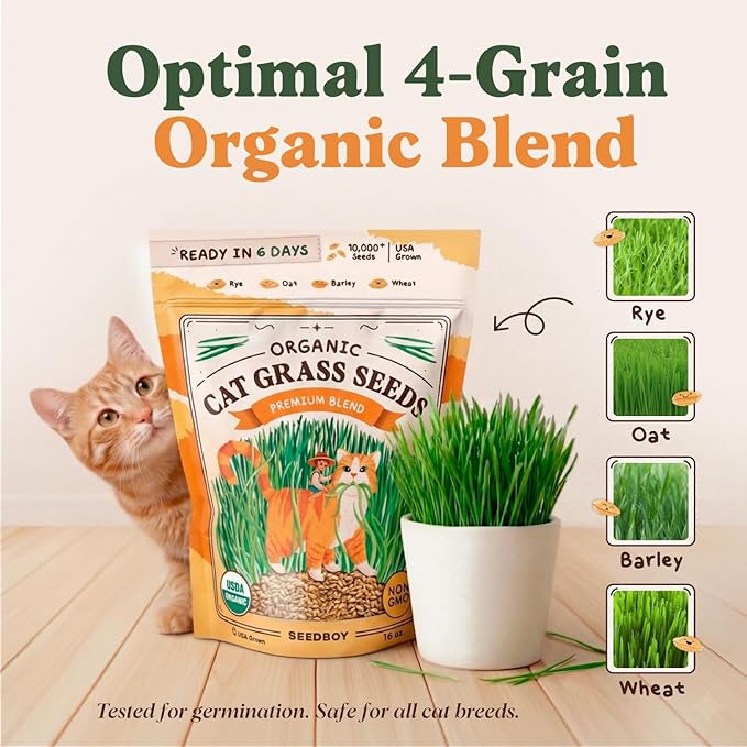 Seedboy Organic Cat Grass Seeds for Planting, Non-GMO Wheat, Oat, Rye, and Barley Cat Grass for Indoor Cats (16 oz)