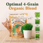 Seedboy Organic Cat Grass Seeds for Planting, Non-GMO Wheat, Oat, Rye, and Barley Cat Grass for Indoor Cats (16 oz)