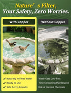 Mellbree 3-Pack Bird Bath Copper Disc, 0.6mm Reinforced 99.99% Pure Copper Cleaning Disk with Triple-Point Support for Physical Safe Clean Water All-Season (Sunflower)