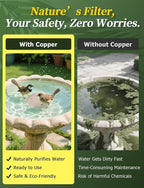 Mellbree 3-Pack Bird Bath Copper Disc, 0.6mm Reinforced 99.99% Pure Copper Cleaning Disk with Triple-Point Support for Physical Safe Clean Water All-Season (Flower)
