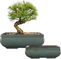 Set of 2 Green Glazed Ceramic Bonsai Pots, 9.8" & 7.4" Shallow Bonsai Pots Planters with Drainage for Indoor/Outdoor Plants, Rectangular Bonzie Tree Pot for Succulents, Cacti, Orchids, Herbs, Flowers