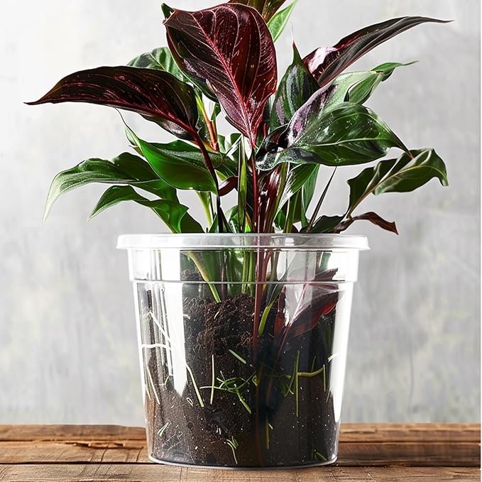 RAOOKIF 30 Pack 5/6/7 Inch Reinforced Clear Nursery Pots with Drainage Holes, Nursery Pots for Plants Variety Pack, Transparent Plastic Plant Pots for Seedlings, Seed Starters