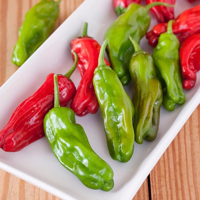 Bonnie Plants Shishito Pepper 19.3 oz. 4-Pack