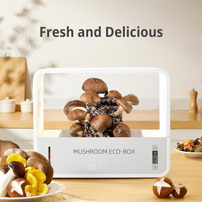 Mushroom Grow Tent with Temperature and Humidity Display,Smart Mushroom Growing Box,Mushroom Monotub Growing Kit with Grow Light,Indoor Still Air Box for Mushroom Growers