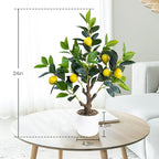 Caxchiling 24Inch Fake Lemon Tree, Lemon Decor for Tabletop, Desk, Centerpiece, Home, Kitchen, Living Room, Artificial Potted Plants with White Planter and Stone Cover