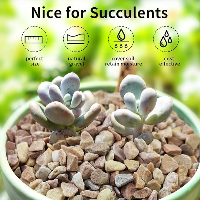 FANTIAN 10 LB Natural Pea Gravel Small Pebbles - 3/8 Inch Decorative Pebbles for Indoor Plants,Terrarium Rocks, Outdoor Decorative Rocks, Vase, Succulent Rocks, Aquarium Gravel and Landscaping Rocks
