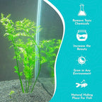 Live Aquarium Plants - Water Sprite Aquarium Plant, Ceratopteris Thalictroides - Perfect Live Aquatic Plants for Fish Tanks and Aquariums