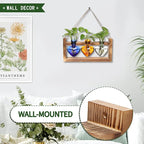 Plant Terrarium Propagation Stations Faith Hope Love Hydroponics Home Garden Decoration Gift for Women with Wooden Stand Heart Shaped Colored Glass Vase
